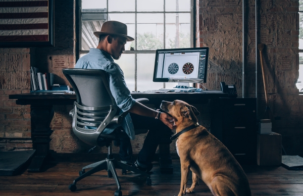 petting dog at desk